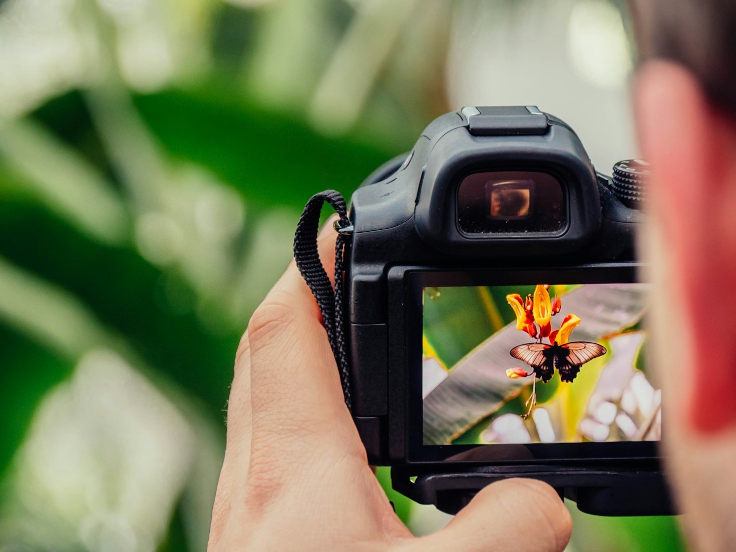 Canadian Wildlife Through a Photographer’s Eyes